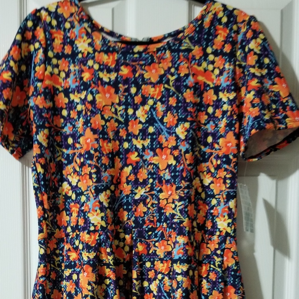 2xl amelia